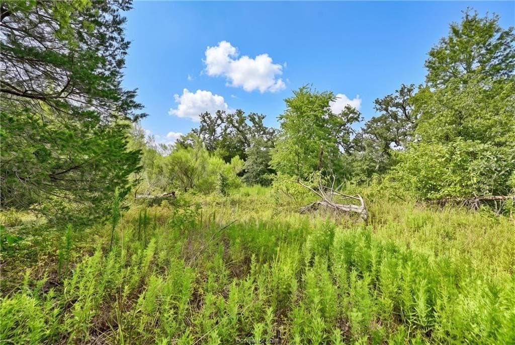 1.23 acres in Burleson County - photo 7