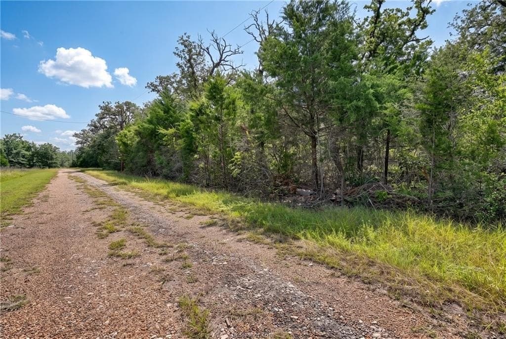 1.23 acres in Burleson County