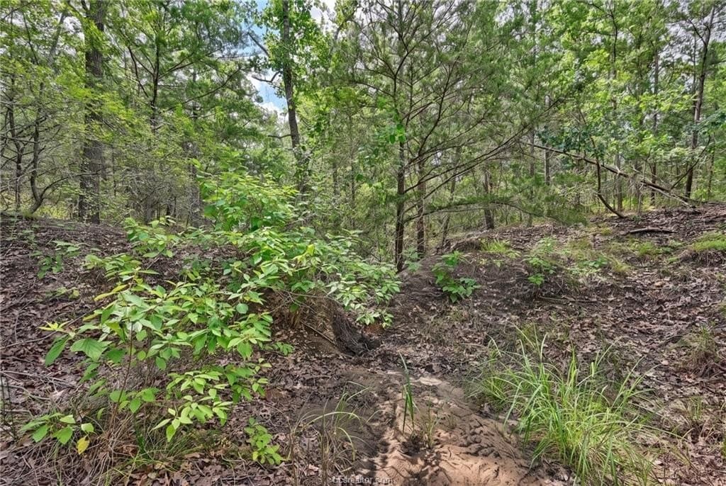 1.23 acres in Burleson County - photo 10