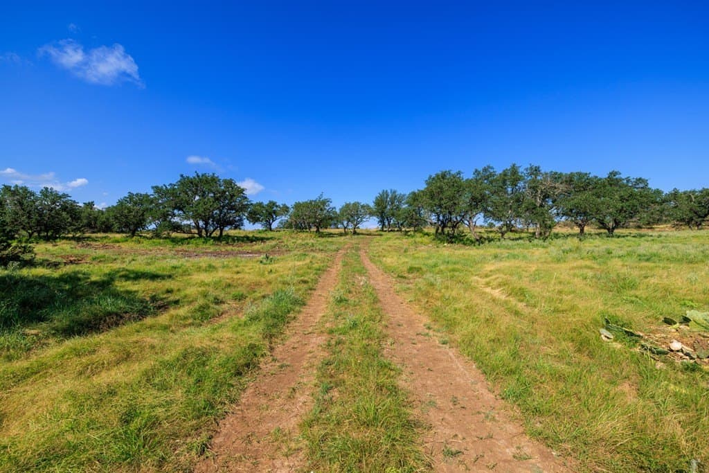181 acres in Mason County featured view