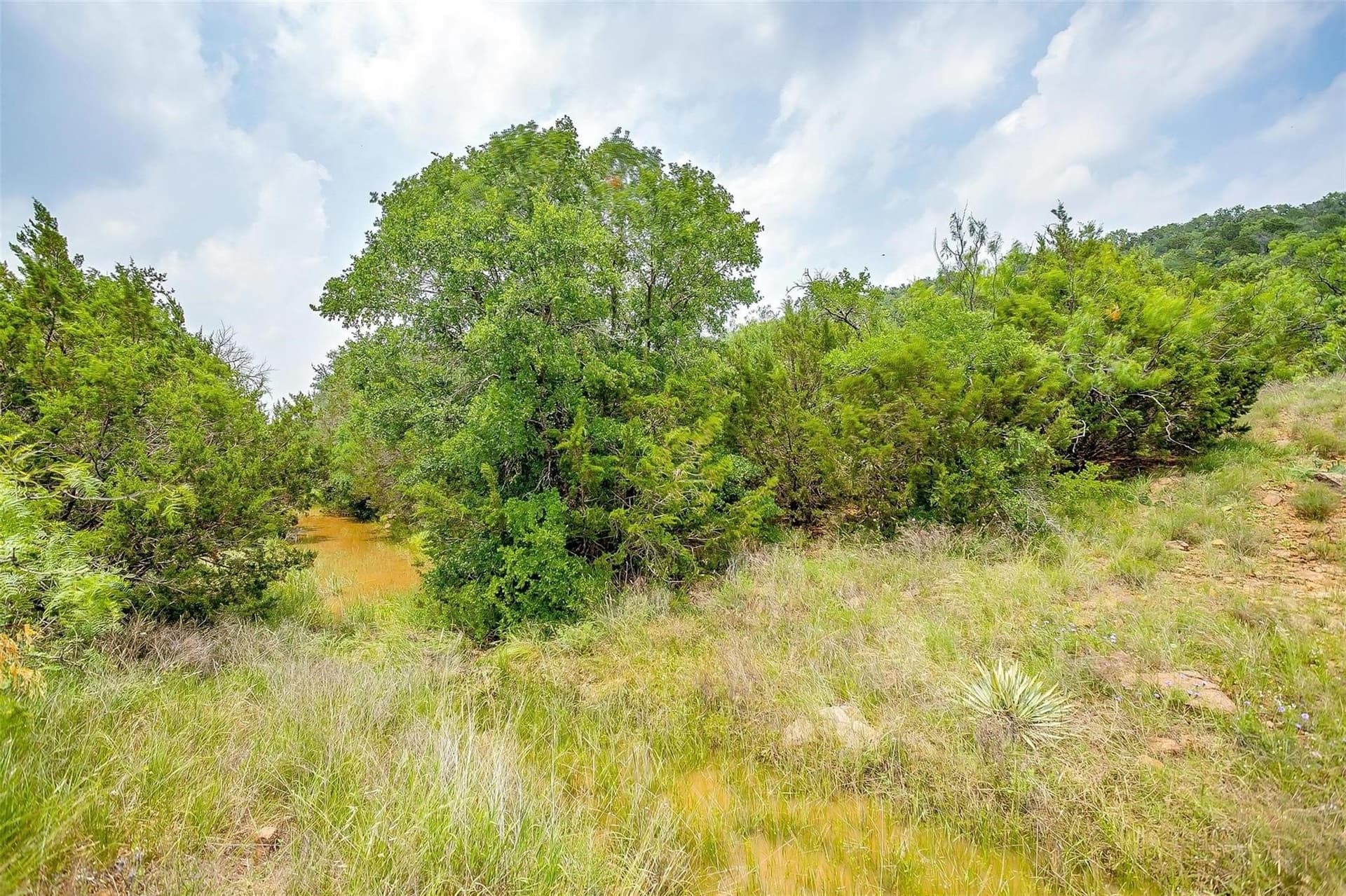 4.7 acres in Palo Pinto County - photo 16