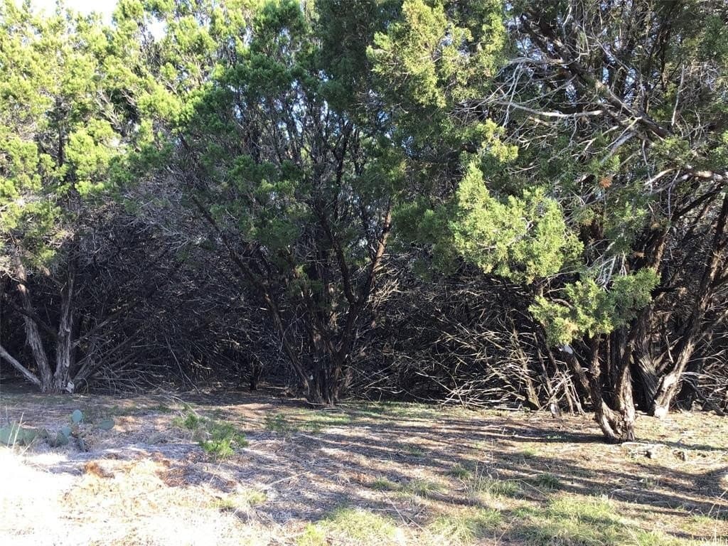 0.17 acres in Hill County gallery image 4