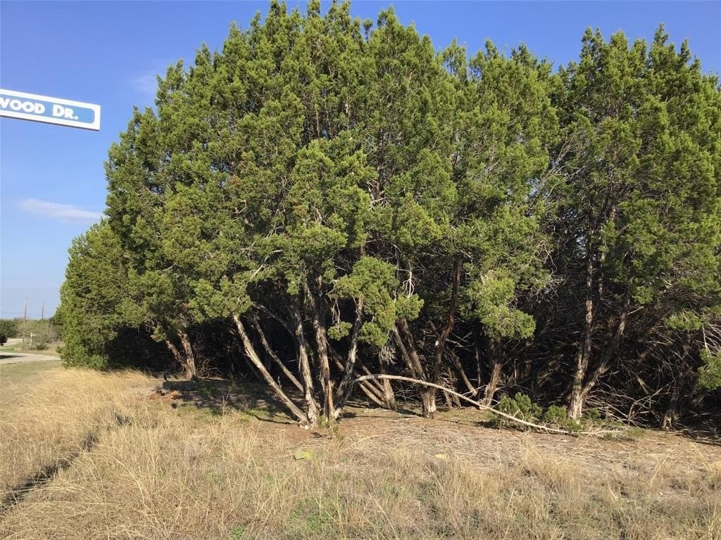 0.17 acres in Hill County gallery image 3