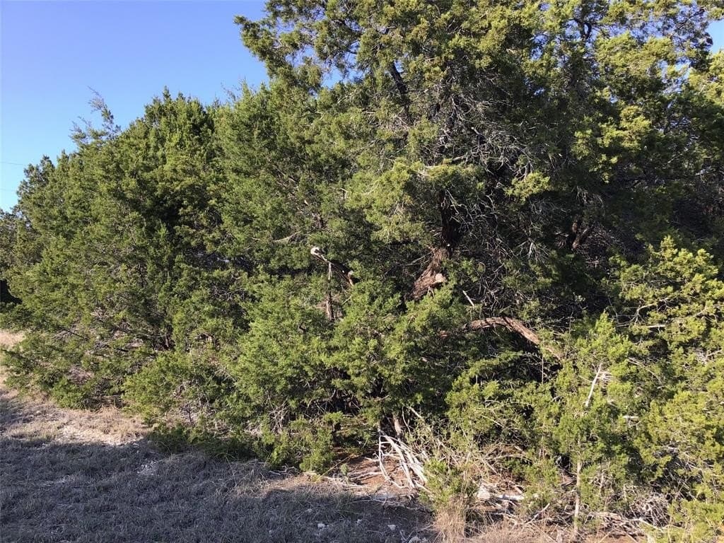 0.17 acres in Hill County featured view