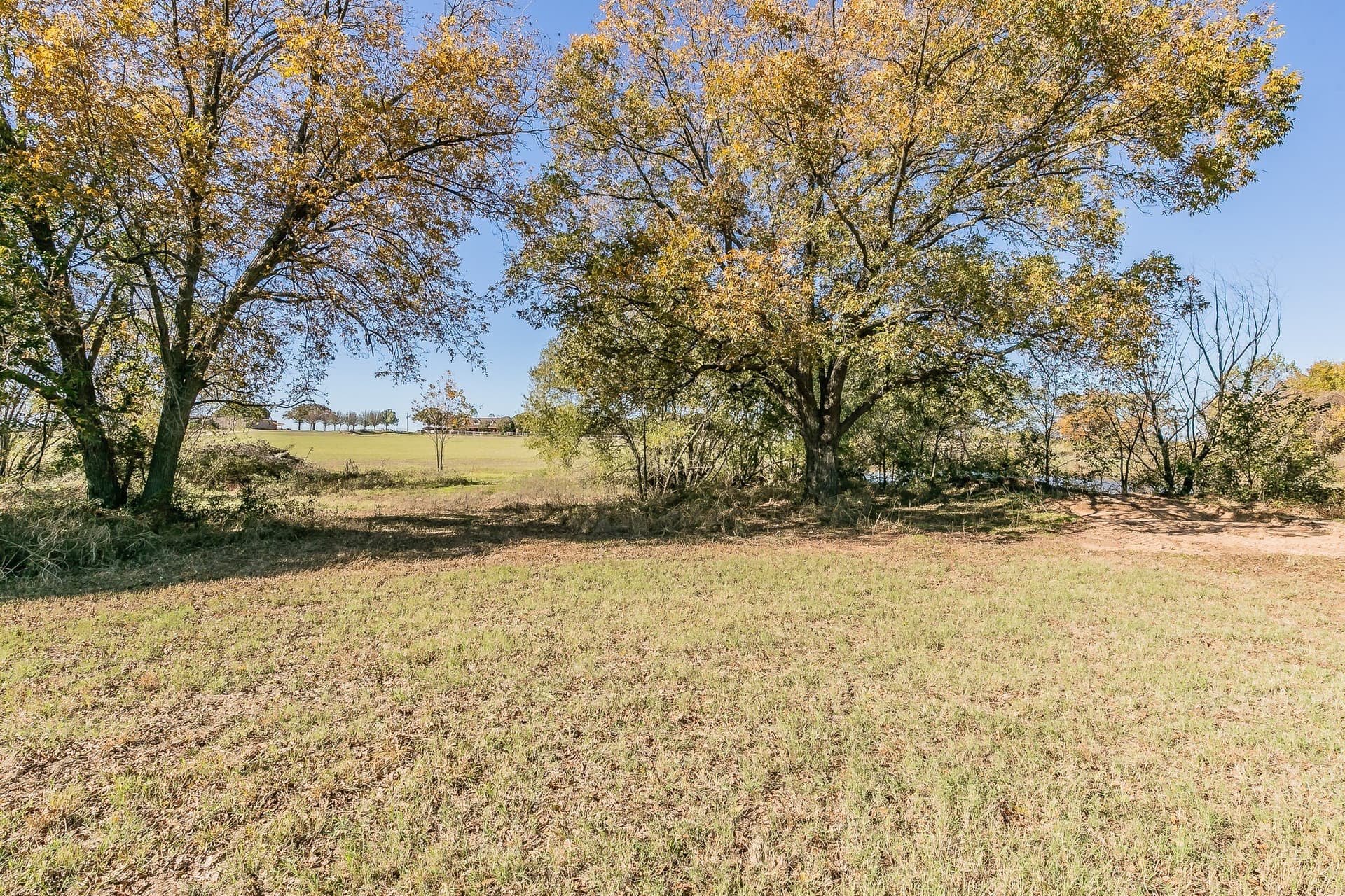 101.5 acres in Montague County - photo 23