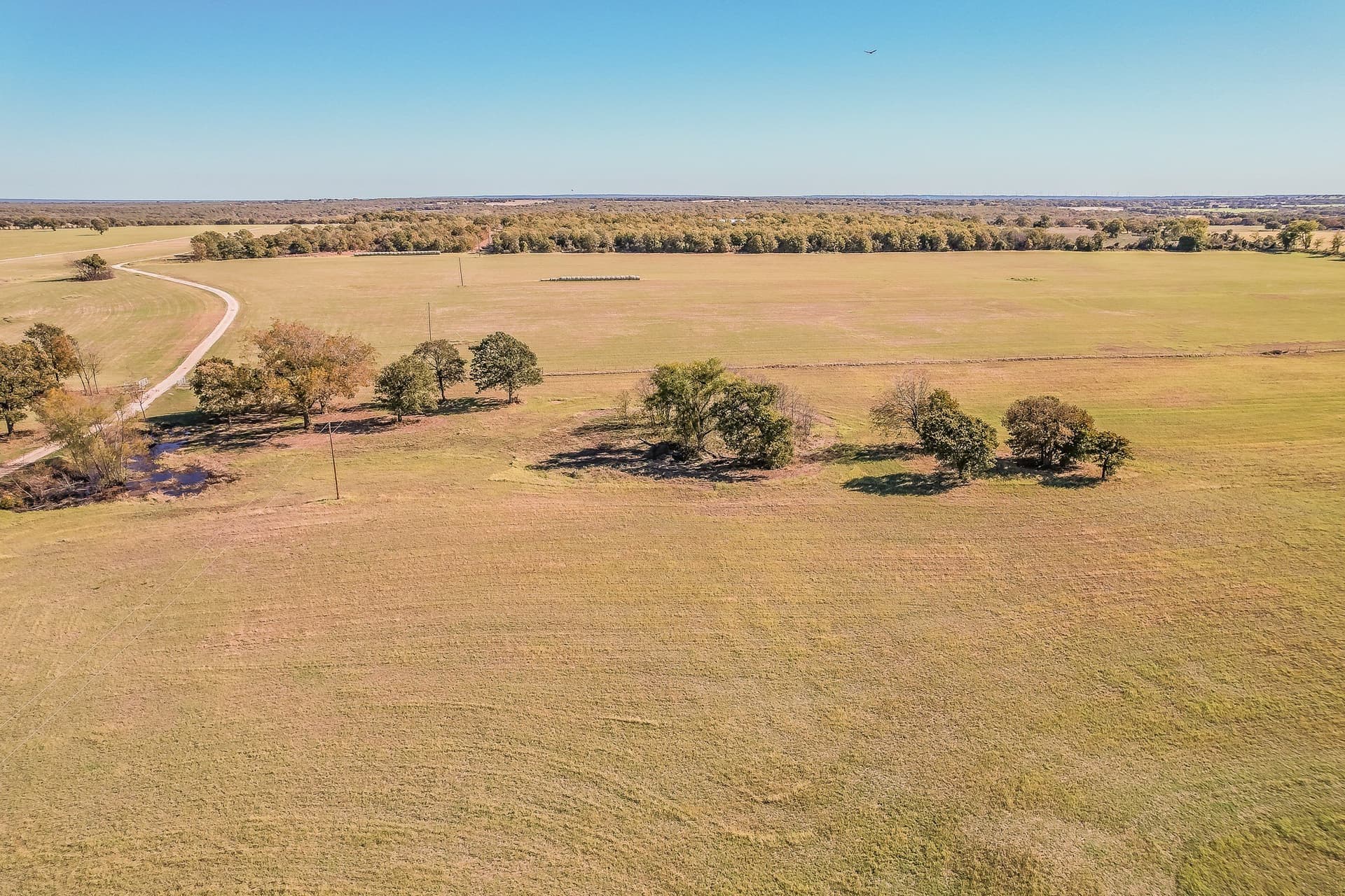 101.5 acres in Montague County - photo 34