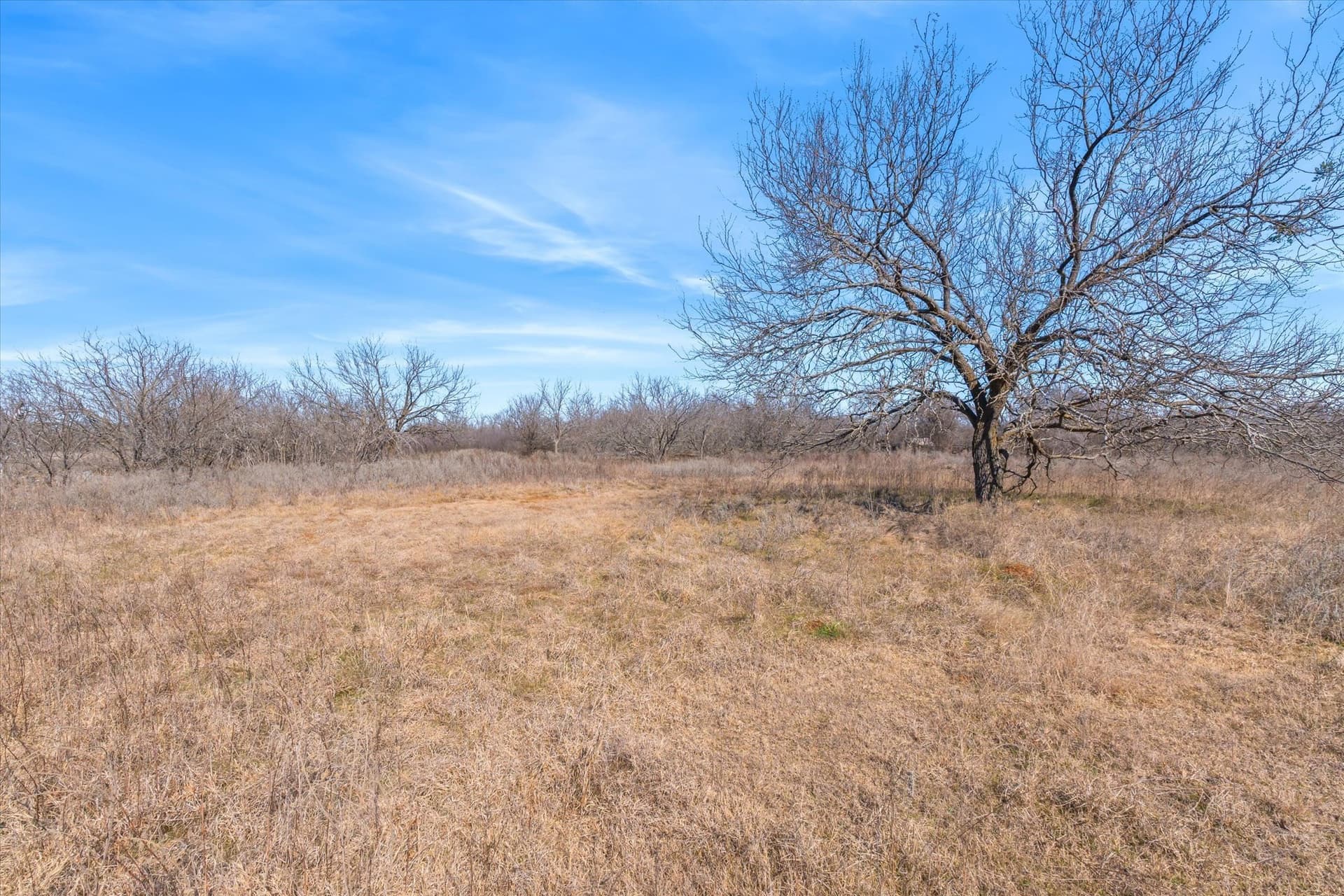 103.25 acres in Hill County - photo 17