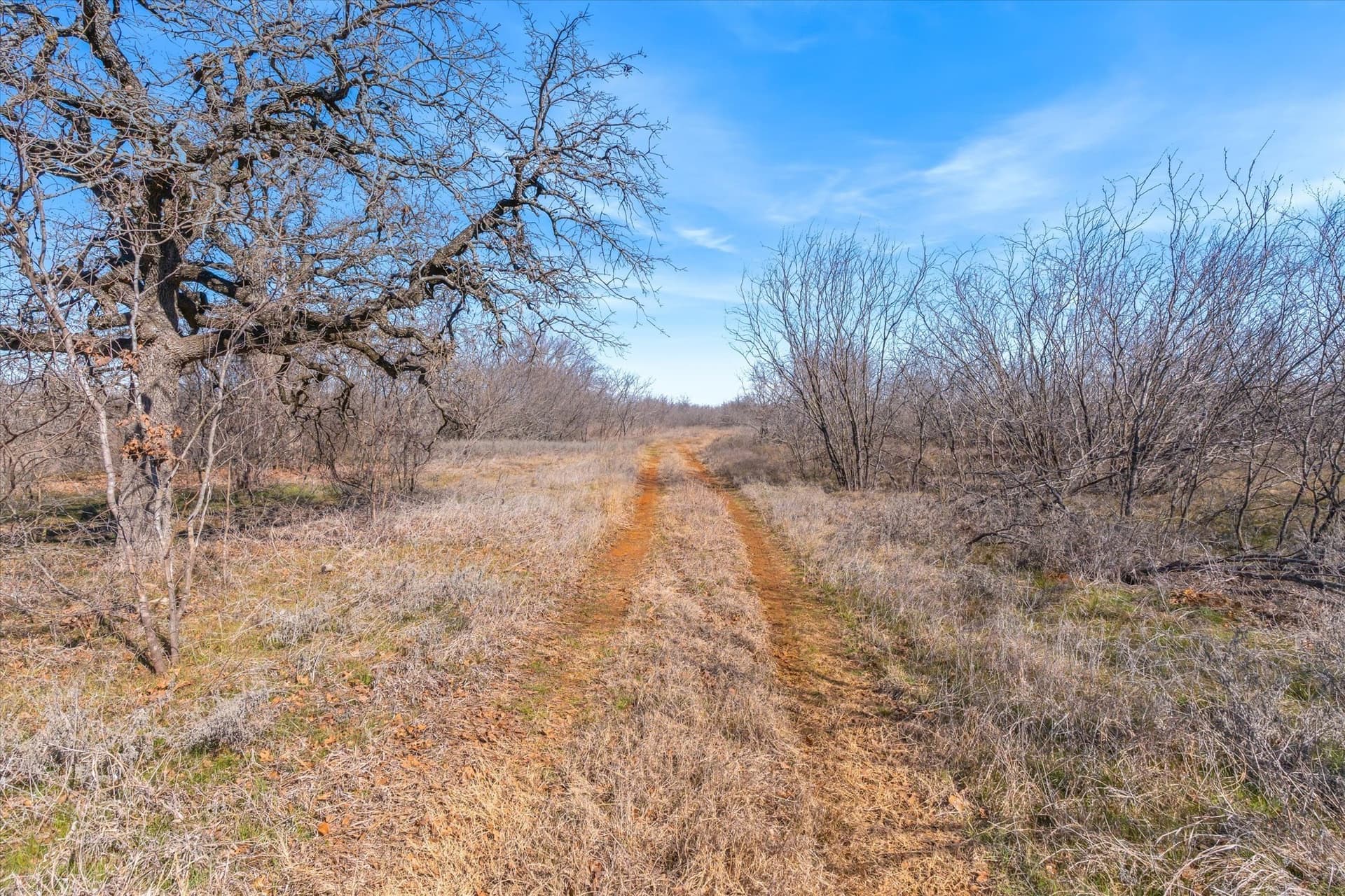 103.25 acres in Hill County - photo 20