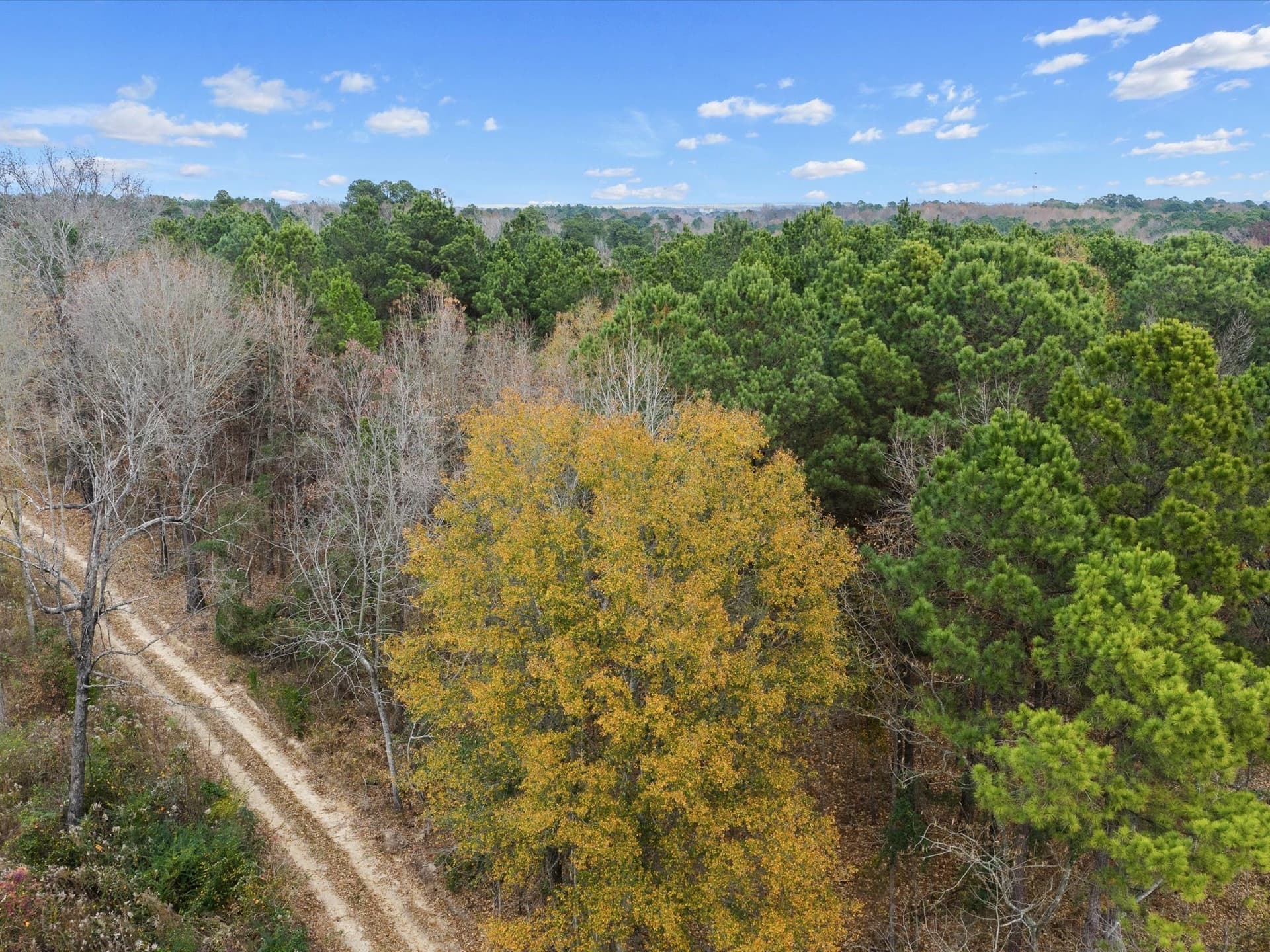 4.8 acres in Harrison County gallery image 2