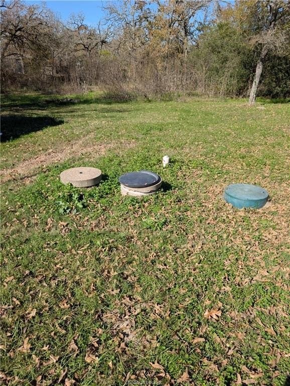 1.1 acres in Brazos County gallery image 3