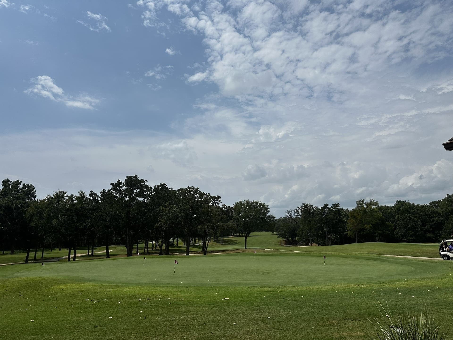 0.13 acres in Grayson County gallery image 4