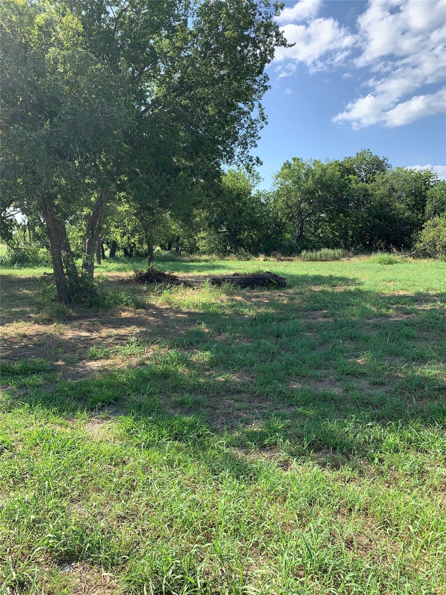 0.3 acres in Wise County gallery image 3