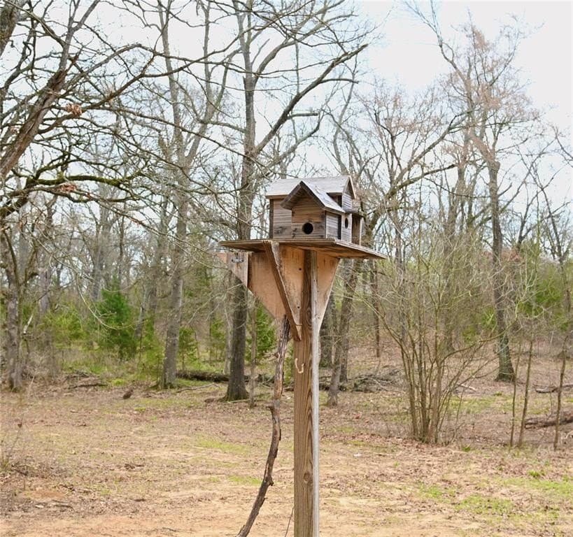 23.19 acres in Fannin County gallery image 4