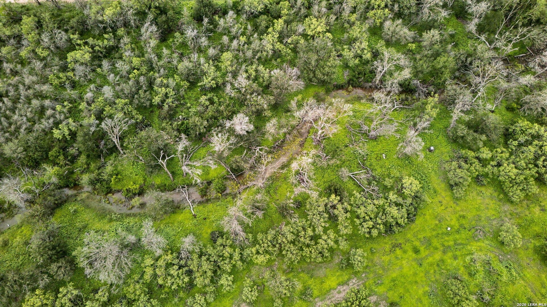 18.79 acres in Medina County - photo 50
