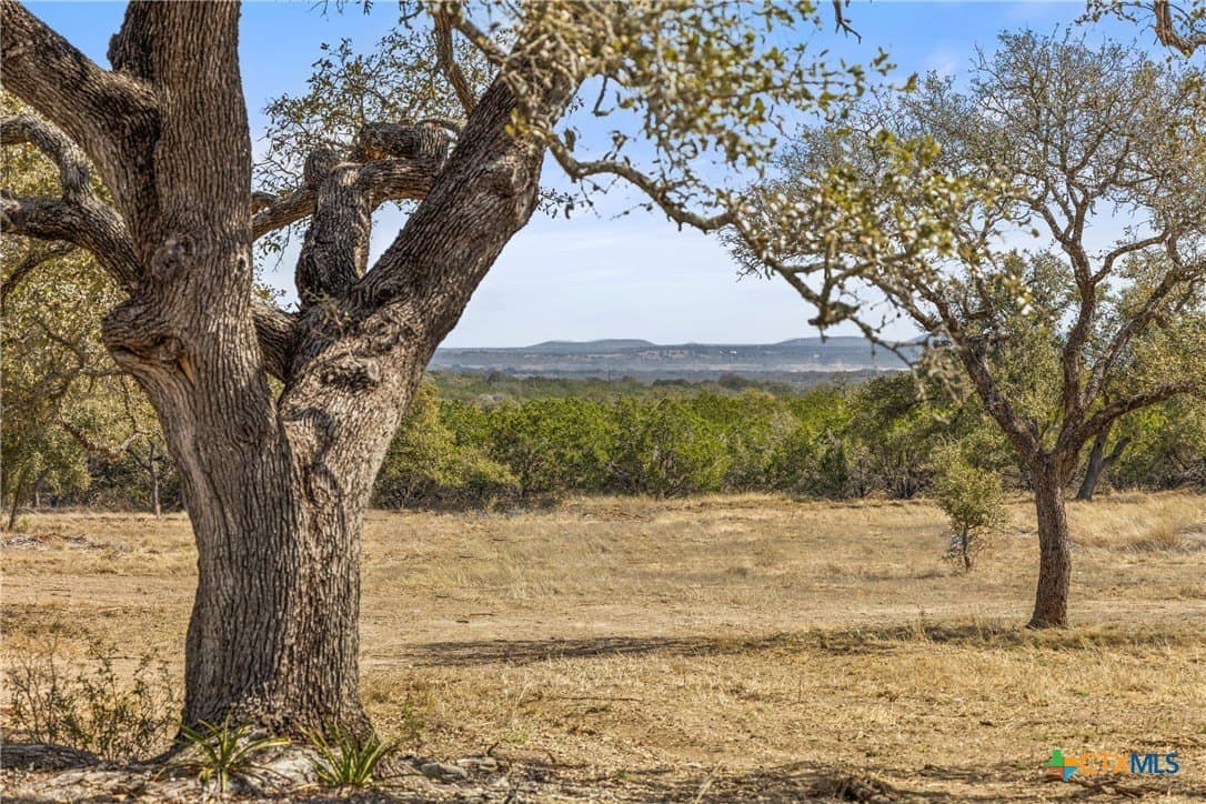 54.2 acres in Blanco County gallery image 3