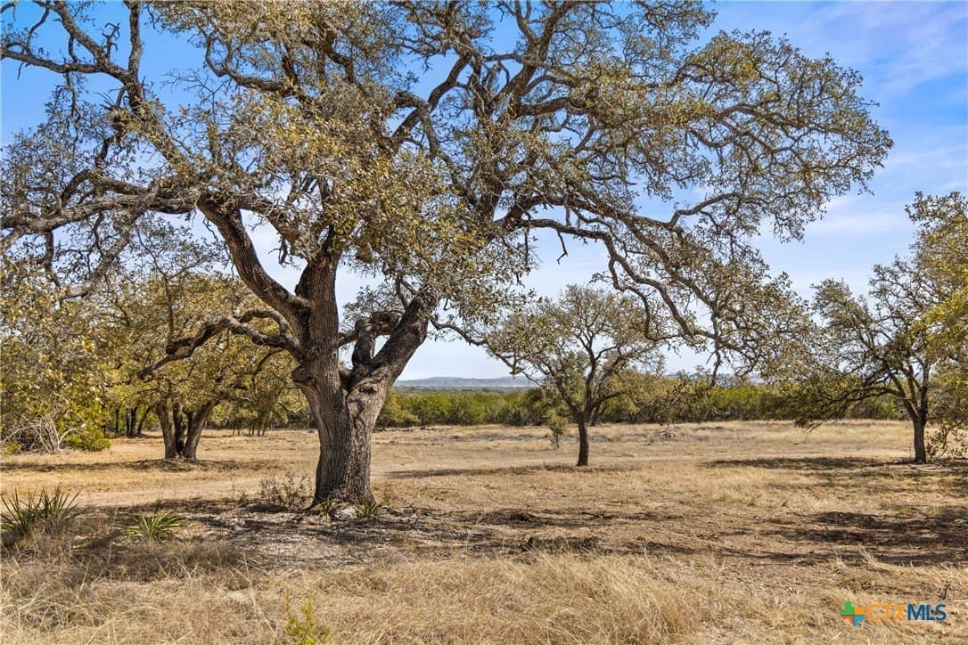 54.2 acres in Blanco County gallery image 2