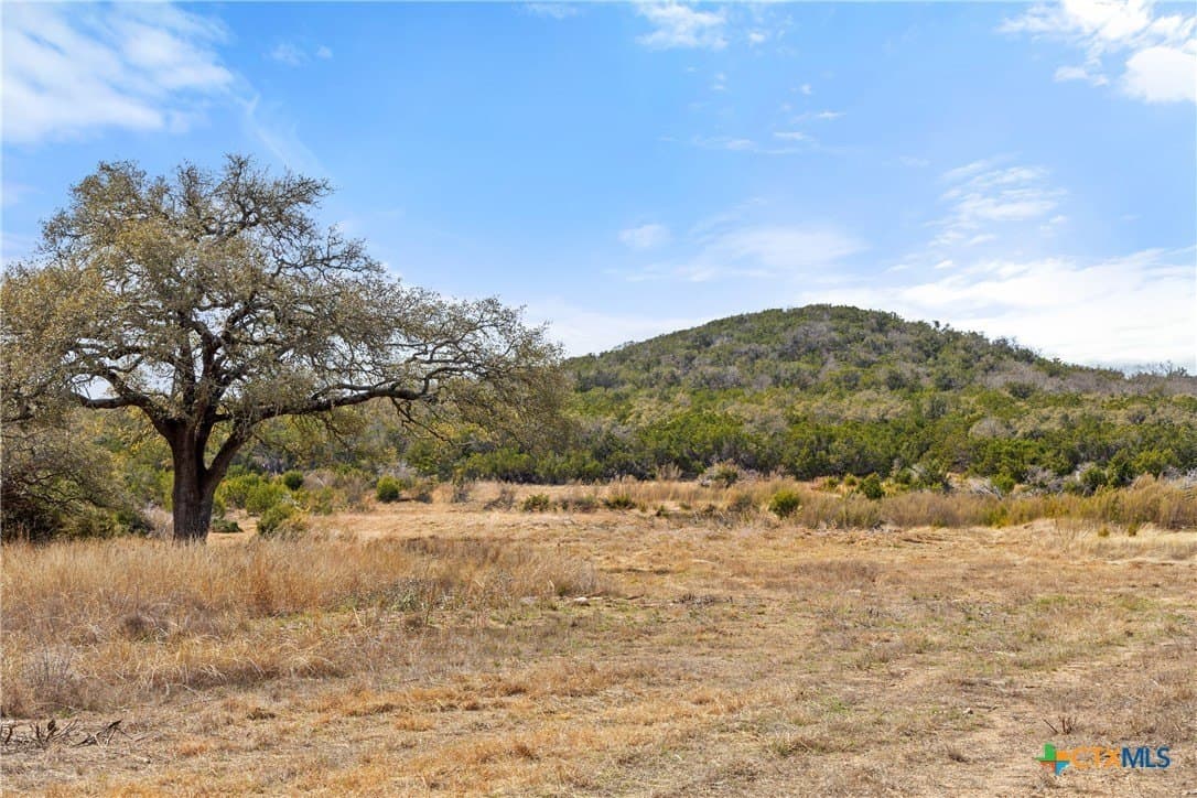54.2 acres in Blanco County gallery image 4