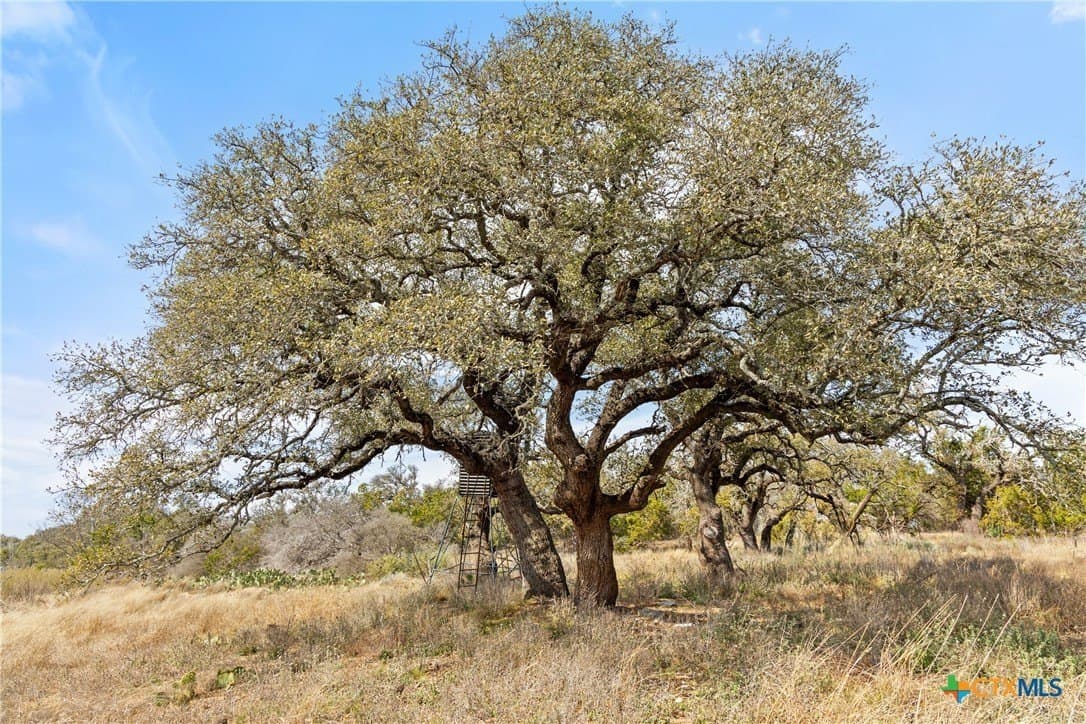 54.2 acres in Blanco County featured view