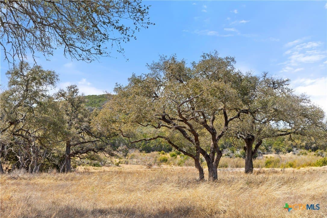 54.2 acres in Blanco County