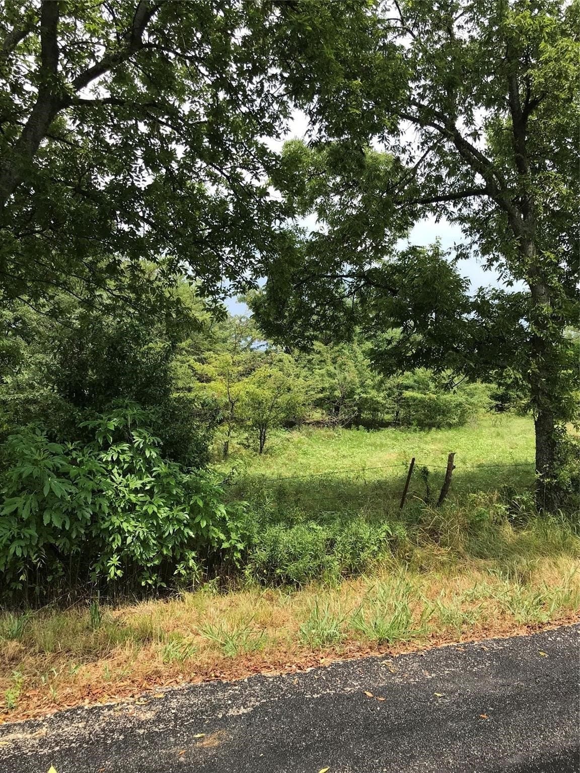 13.85 acres in Grayson County gallery image 3