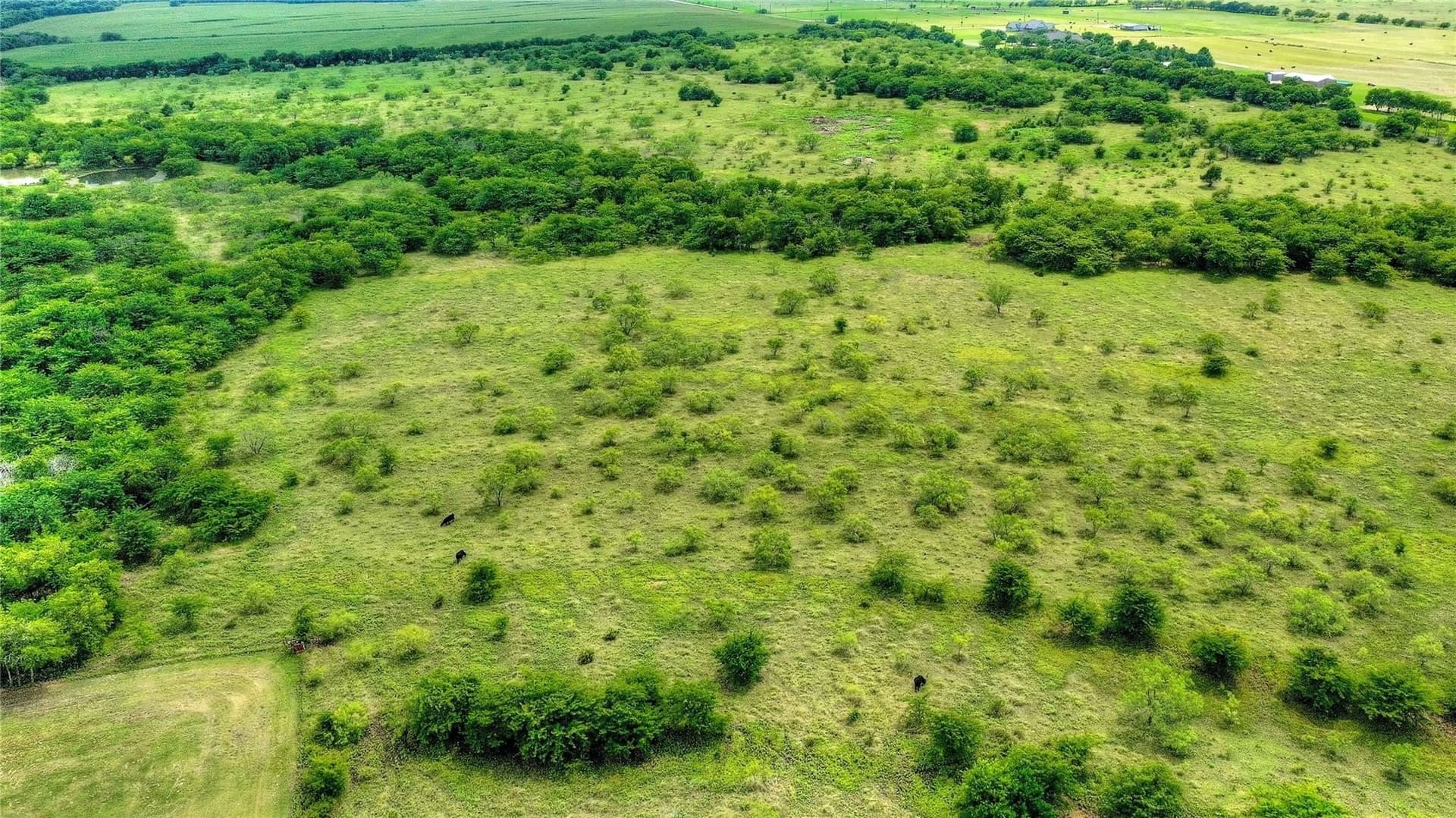 13.85 acres in Grayson County gallery image 4