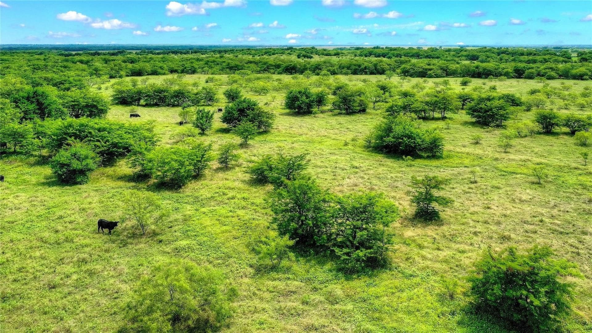 13.85 acres in Grayson County - photo 16