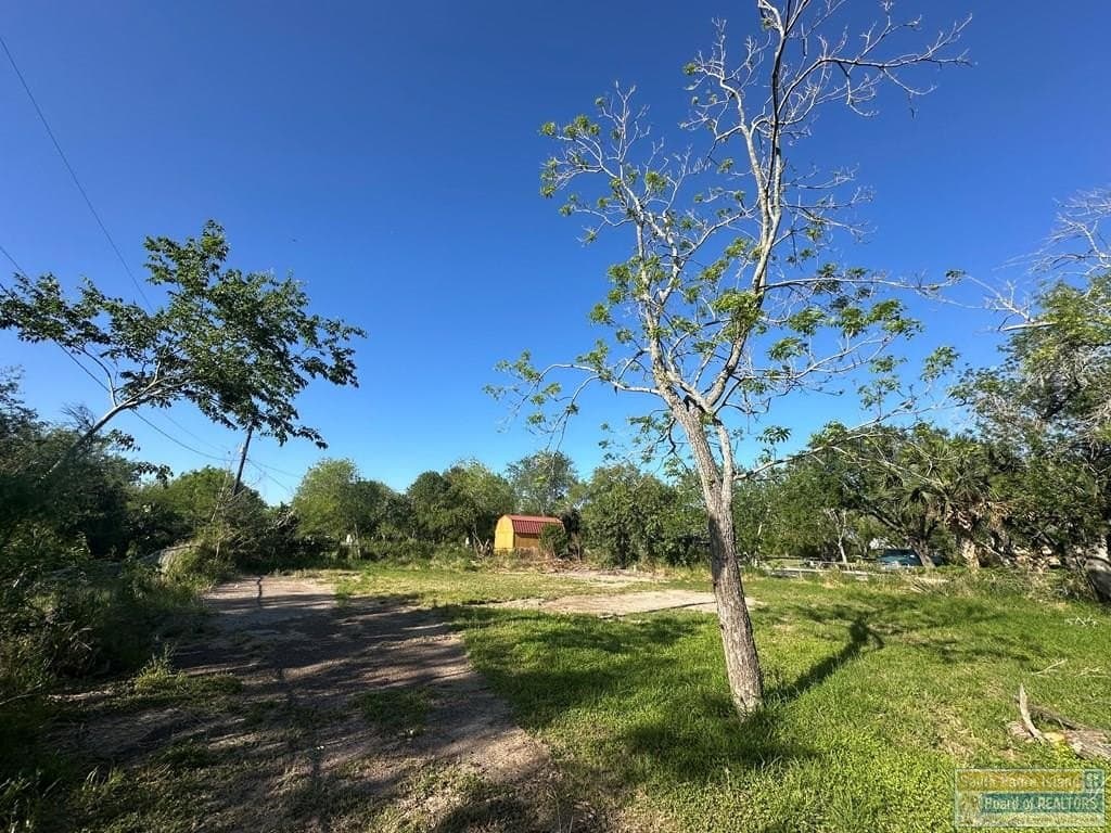 0.23 acres in Cameron County - photo 9