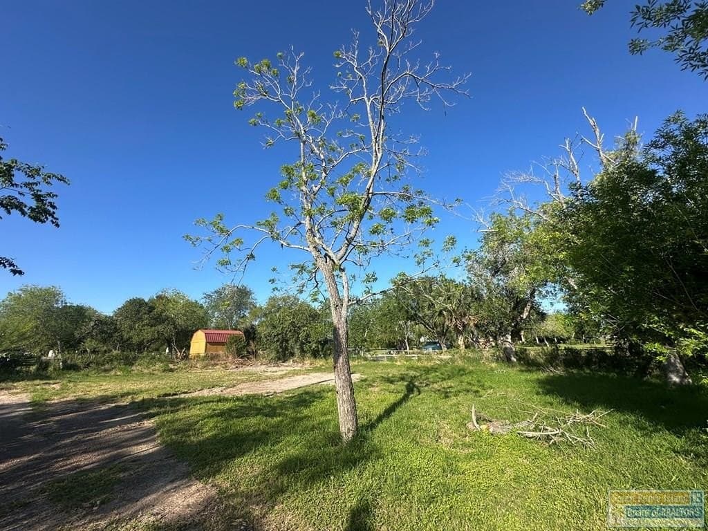 0.23 acres in Cameron County - photo 8