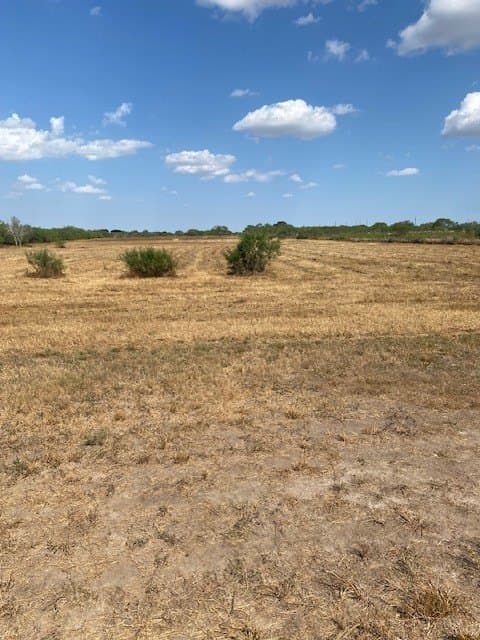 10.24 acres in Jim Wells County - photo 3