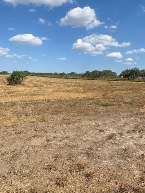 10.24 acres in Jim Wells County - photo 4