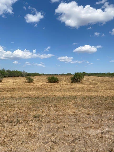 10.24 acres in Jim Wells County - photo 2