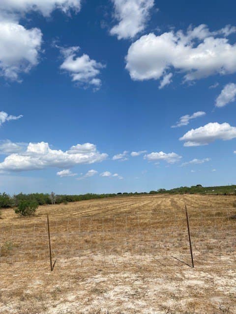 10.24 acres in Jim Wells County - photo 5
