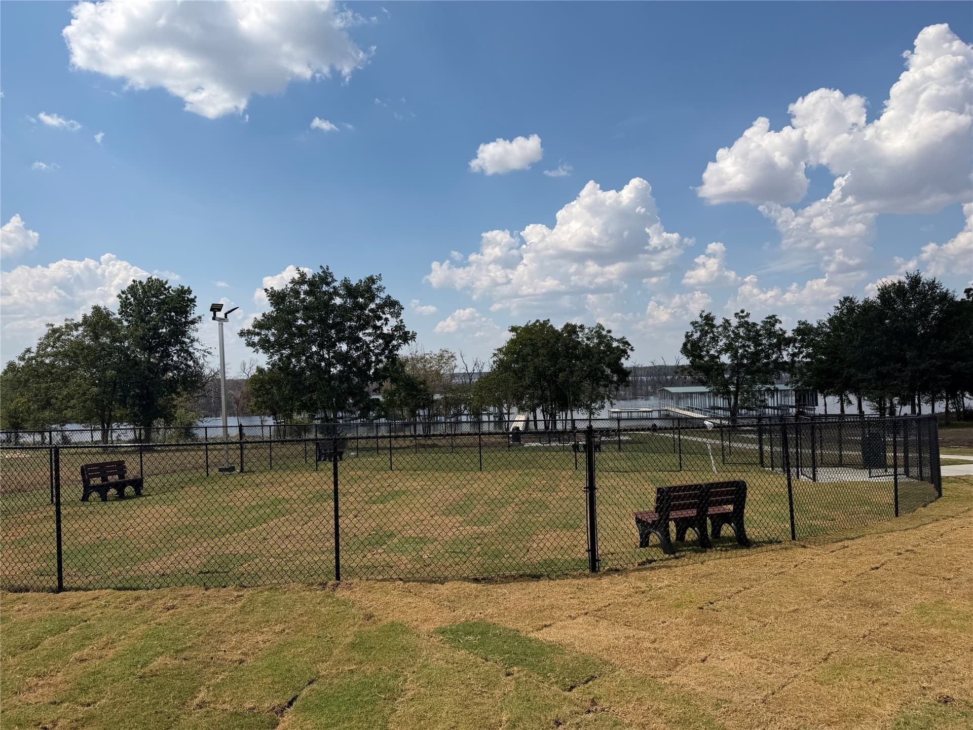 1.13 acres in Fannin County - photo 16