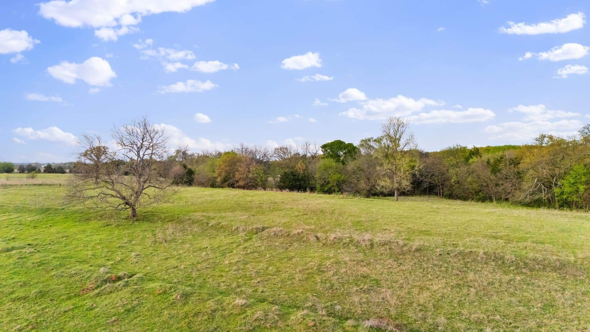 73.3 acres in Cooke County - photo 25