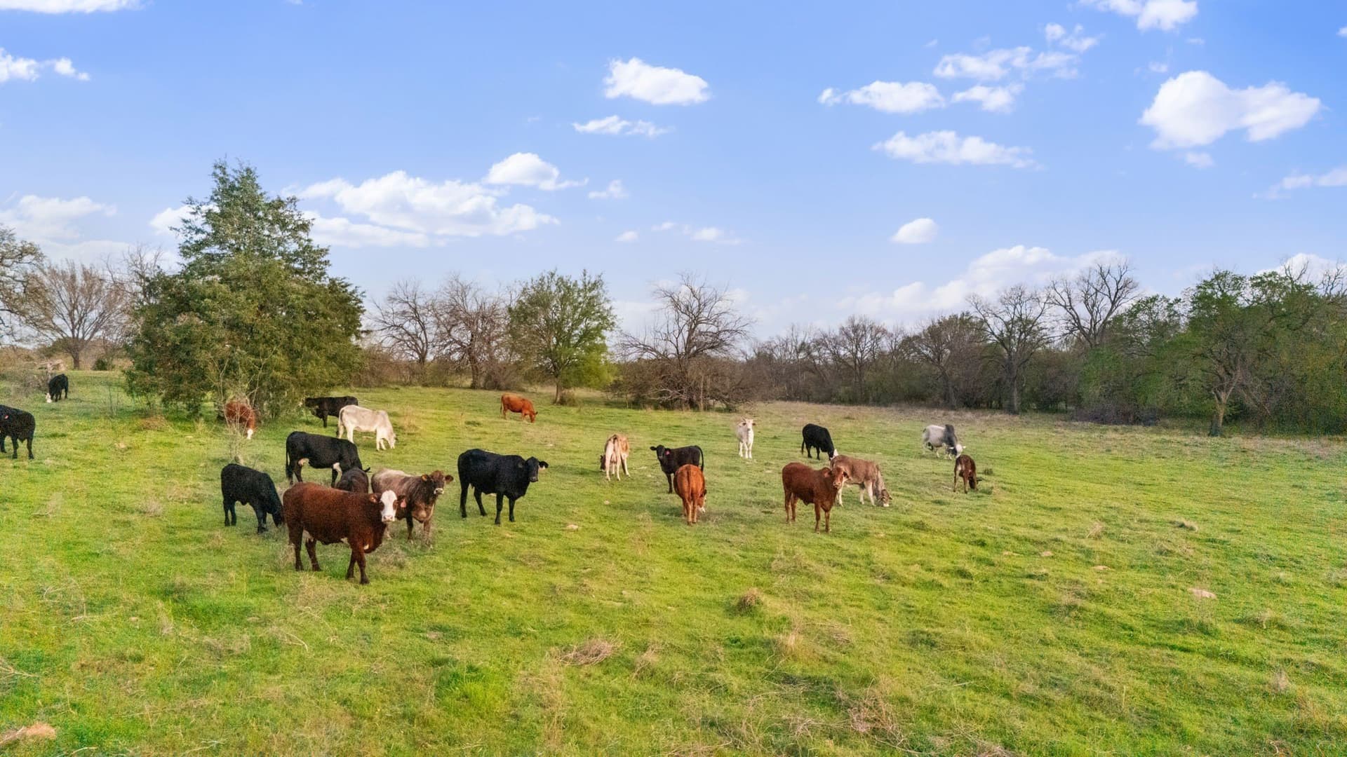 73.3 acres in Cooke County - photo 14
