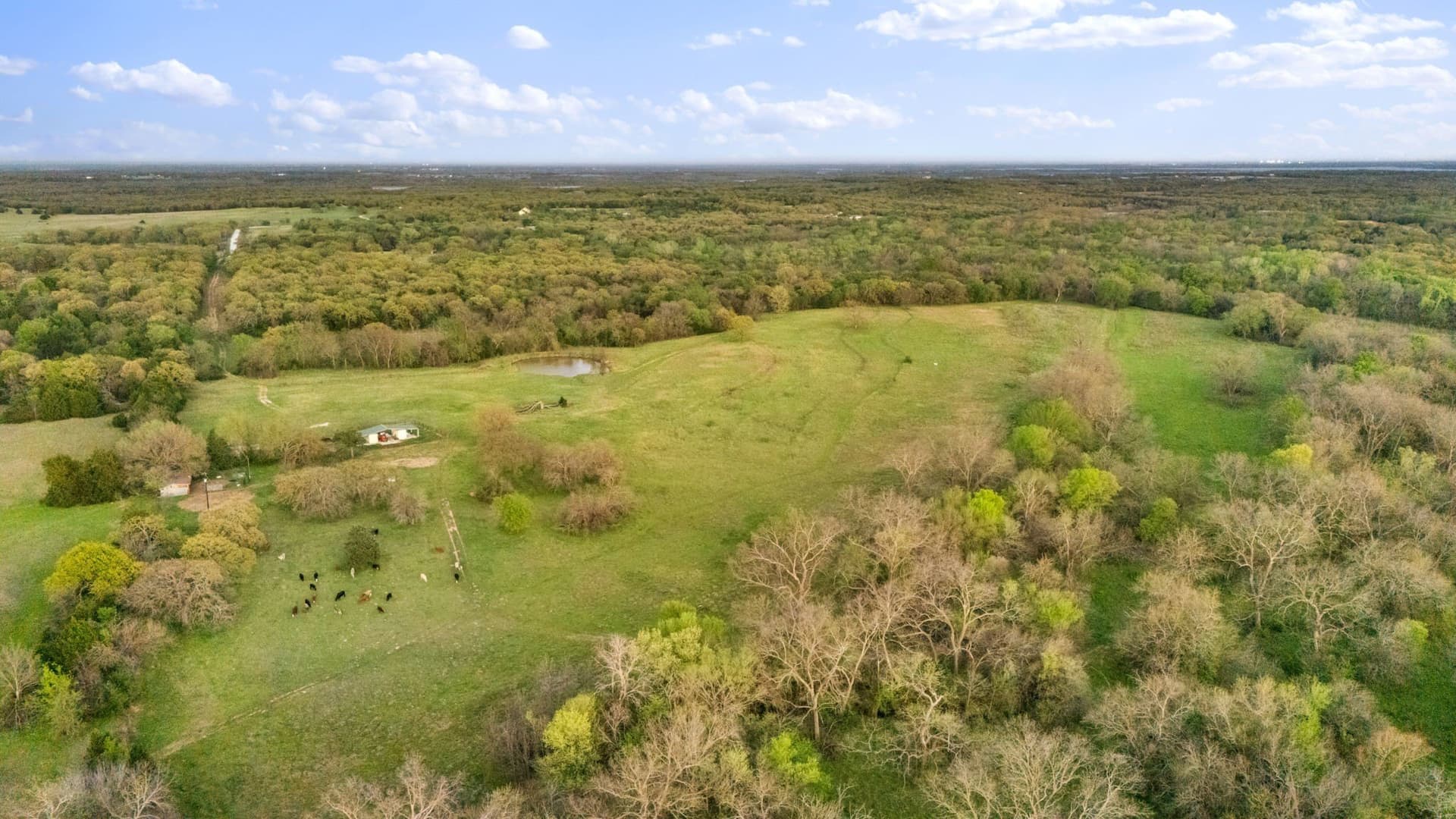 73.3 acres in Cooke County gallery image 4