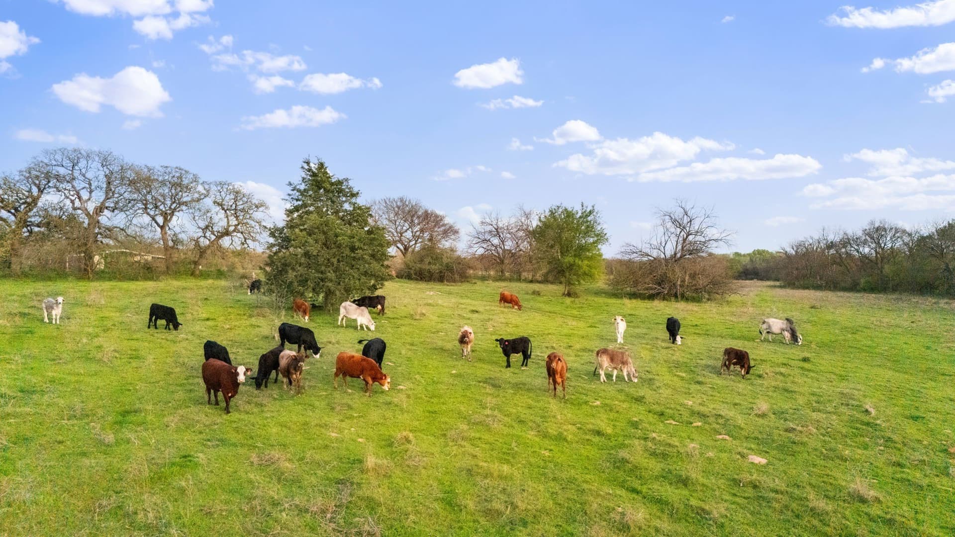73.3 acres in Cooke County - photo 7