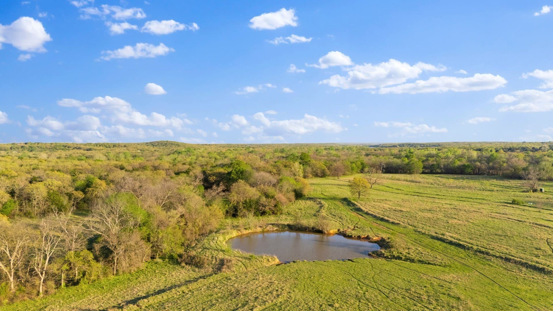 73.3 acres in Cooke County - photo 8