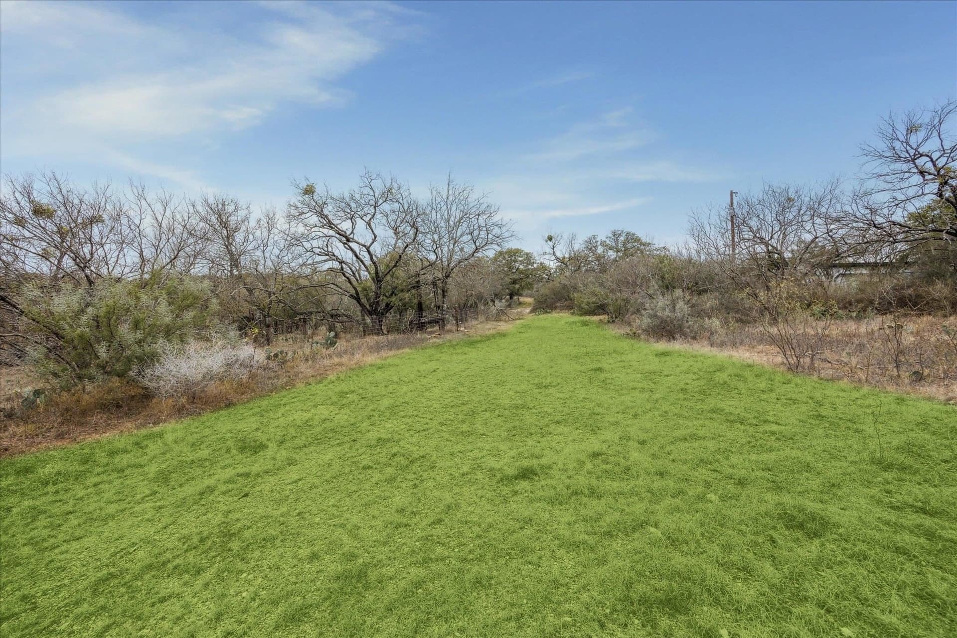 12 acres in Burnet County gallery image 3