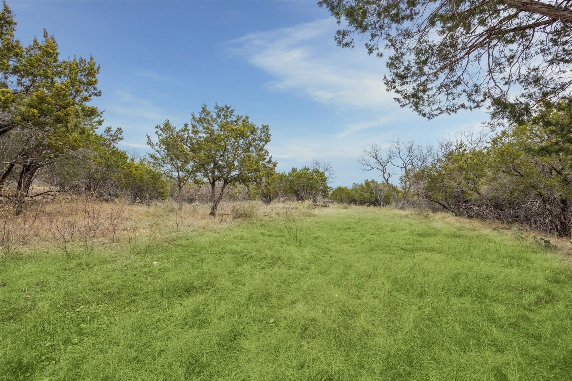 12 acres in Burnet County gallery image 2