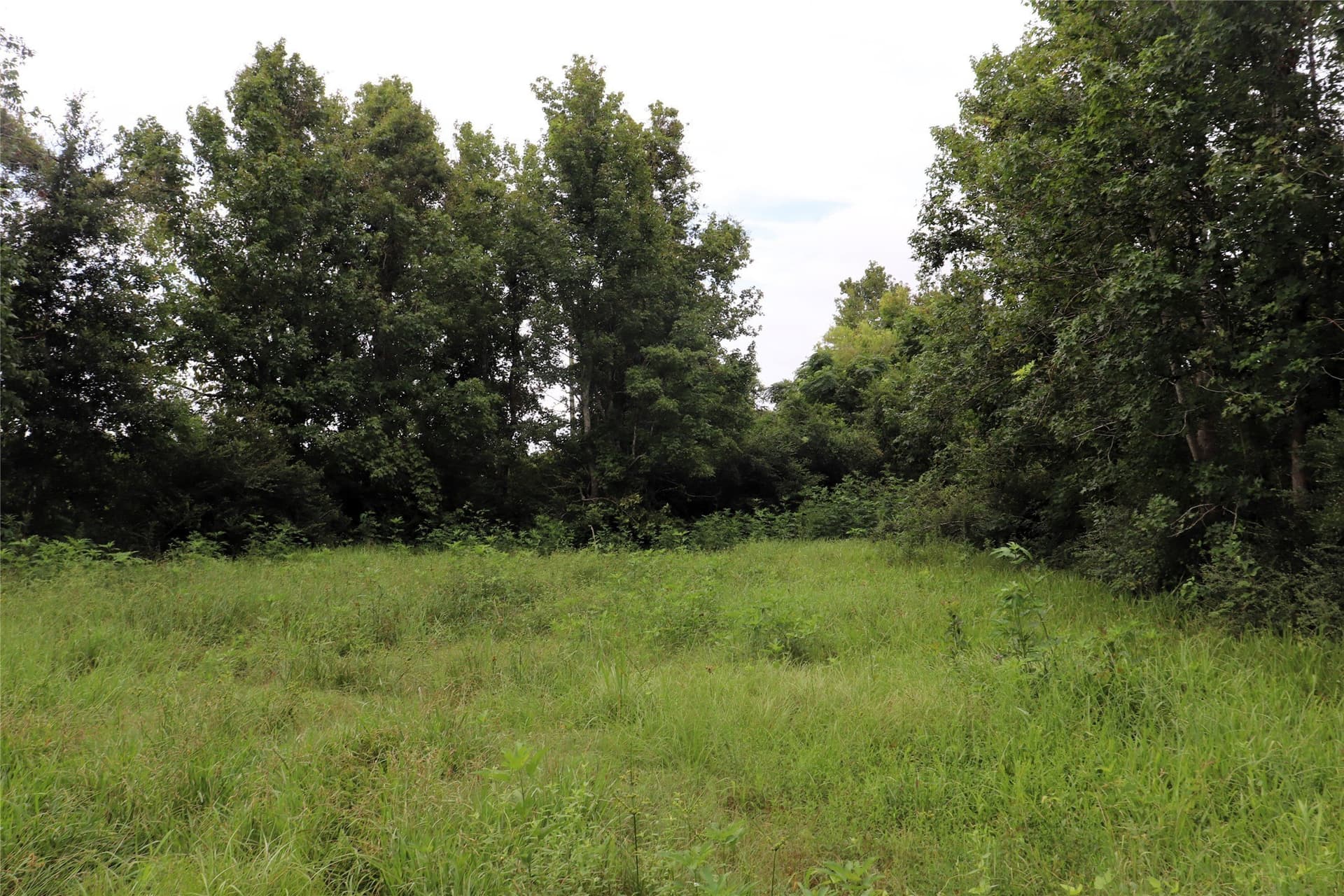 1.05 acres in Liberty County gallery image 2