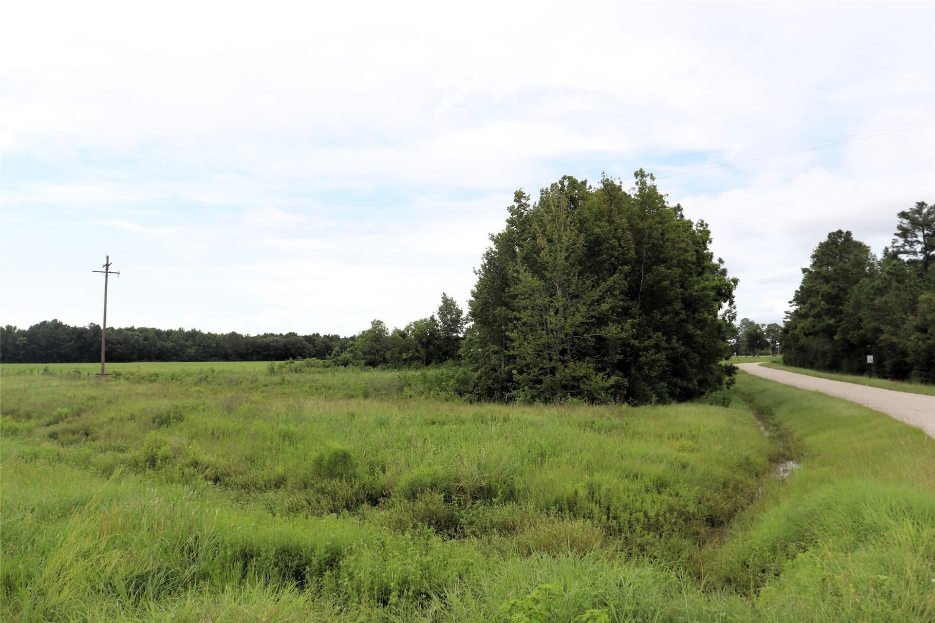 1.05 acres in Liberty County gallery image 4