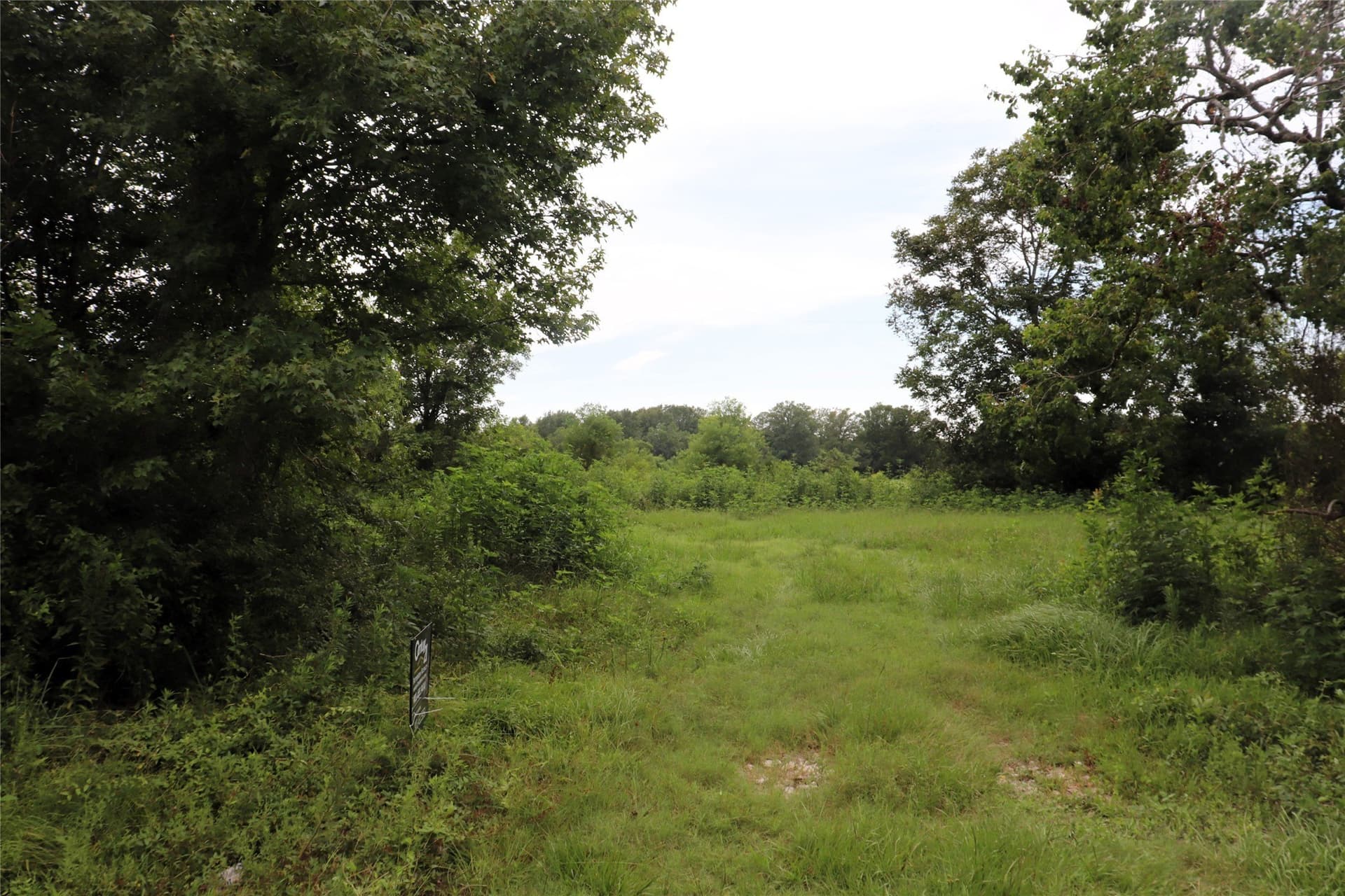 1.05 acres in Liberty County gallery image 3
