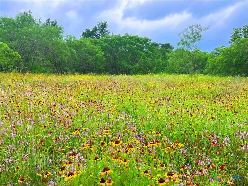 18.51 acres in Guadalupe County - photo 16