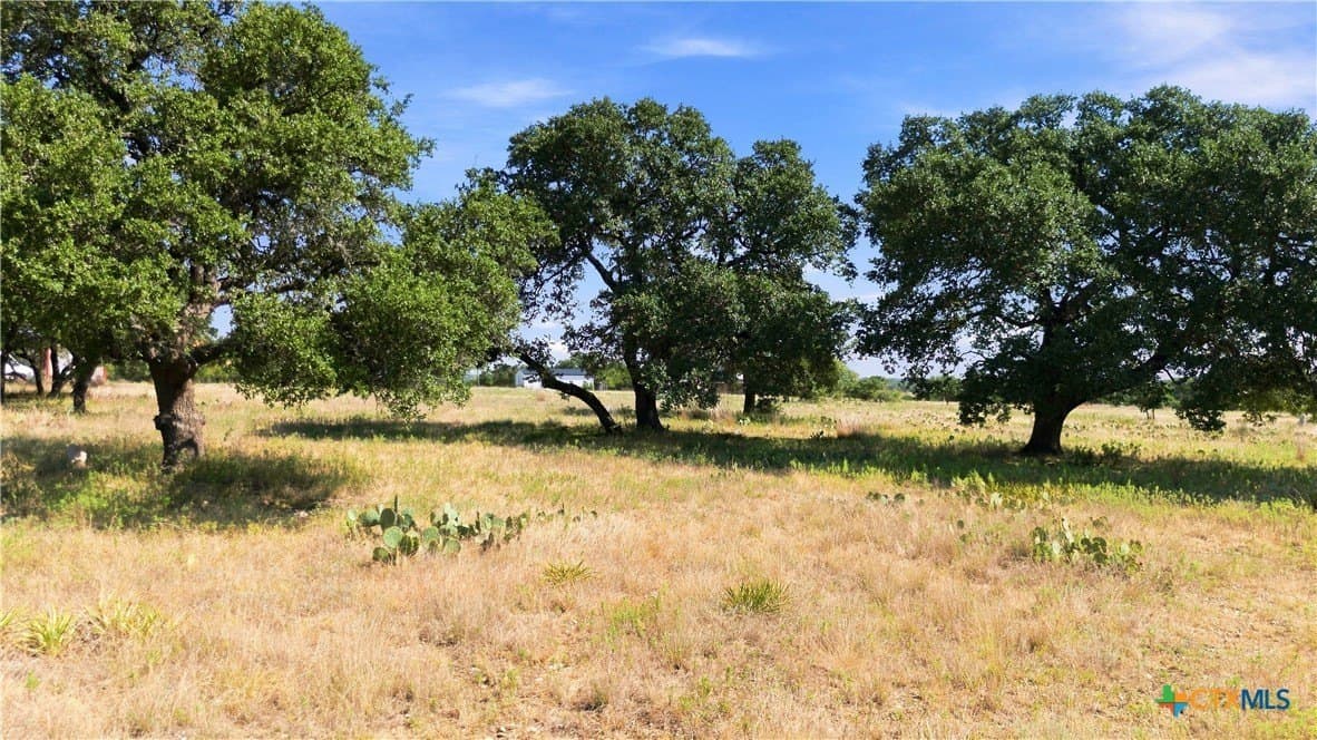 5 acres in Burnet County - photo 6