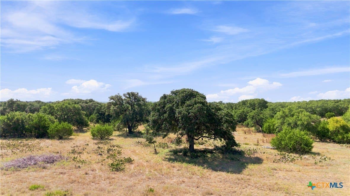 5 acres in Burnet County - photo 10