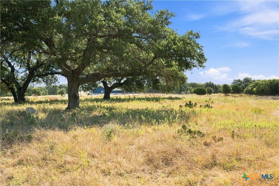 5 acres in Burnet County - photo 17