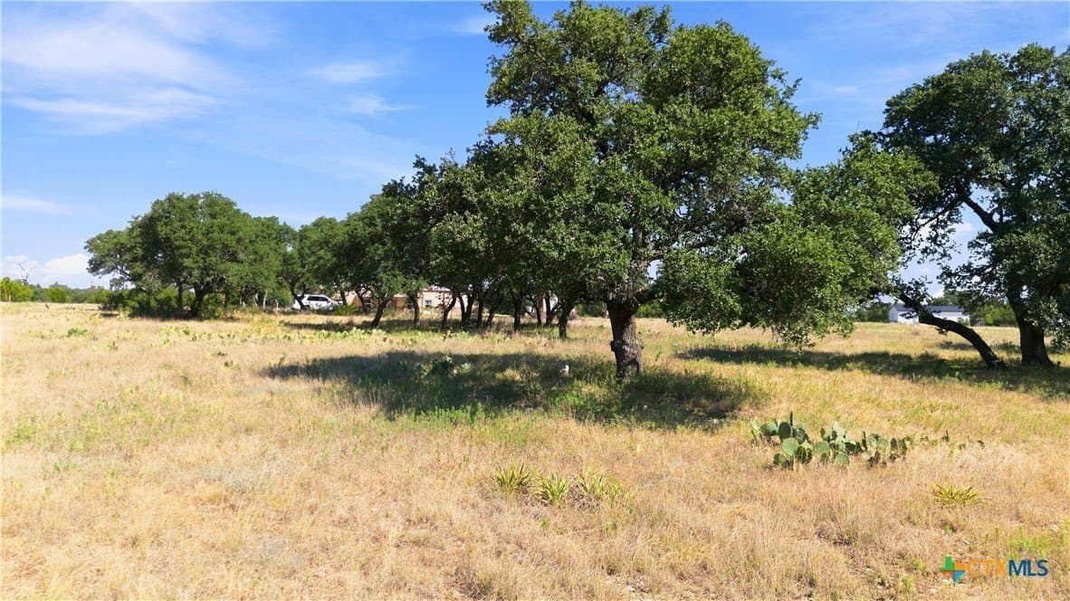 5 acres in Burnet County - photo 7
