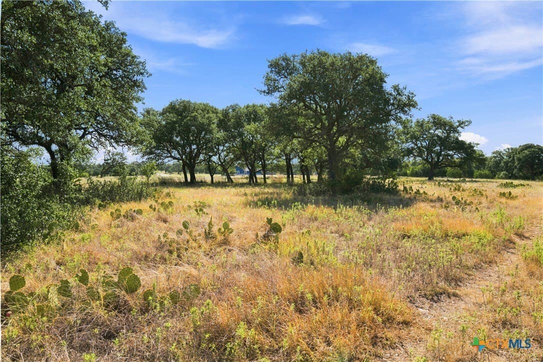 5 acres in Burnet County - photo 14