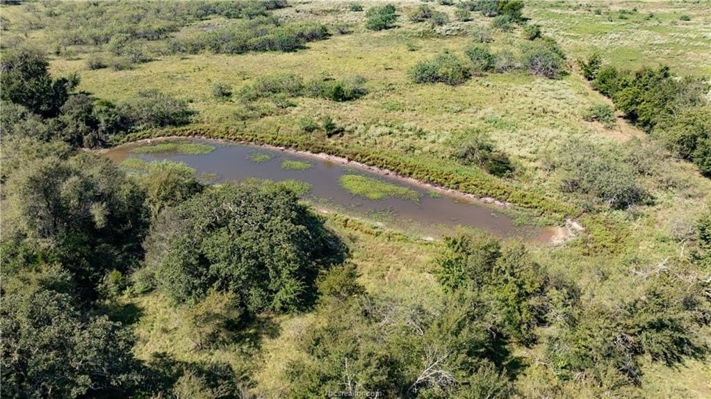 156 acres in Robertson County - photo 8